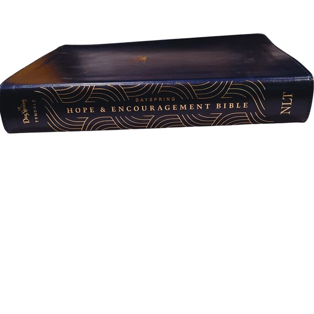 Dayspring Tyndale Hope And Encouragement Bible NLT Dayspring 2021